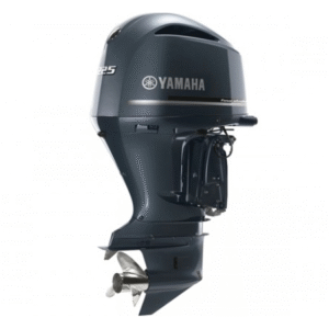 2019 Yamaha 225 HP F225XB Outboard Motor Overview